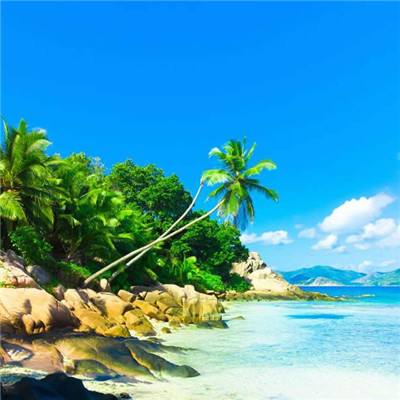 球王会官网注册